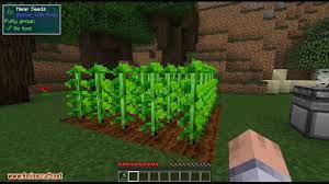 The world itself is filled with everything from icy mountains to steamy jungles, and there's always something new to explore, whether it's a witch's hut or an interdimensional portal. Better With Mods Mod 1 12 2 1 11 2 Better Than Wolves 9minecraft Net