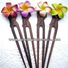 The genus is quite large, comprising several hundred species that are native to warm temperate, subtropical and tropical regions throughout the world. Hawaiian Flower Hair Pins