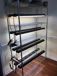 Spinach grows very well indoors. Want To Garden Like A Pro Here S A Simple And Affordable Indoor Grow Light Setup Growjourney