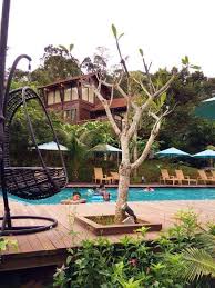 Satu tempat menarik di pahang yang cukup popular bagi mereka yang inginkan aktiviti dalam hutan yang mencabar dan berada dalam suasana hutan yang masih kekal keasliannya. Fifty4ferns Resort Di Bentong Pahang Tempat Percutian Menarik Untuk Keluarga Tempat Menarik
