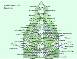 image result for human design chart plant design