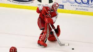 Fall 2018 performance (should it be. Rensselaer Knocks Off No 4 Clarkson In Men S College Ice Hockey Ncaa Com