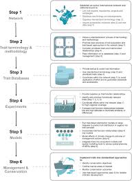 Trait Based Approaches In Rapidly Changing Ecosystems A Roadmap To The Future Polar Oceans Sciencedirect