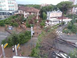 Per la giornata di domani, domenica 25 luglio, è stata diramata un'allerta meteo gialla a milano. Cronaca Meteo Maltempo Tornado Investe Milano Marittima Foto E Video 3b Meteo