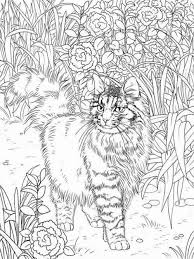 My name is sumit thakur. Coloring Books For Adults Cats Best Coloring Books For Cat Lovers Cat Coloring Page Cat Coloring Book Animal Coloring Pages