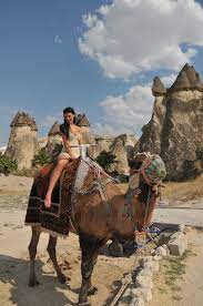 In the beginning of years, when the world was so new and all, and the animals were just beginning to work for man, there was a camel. Camel Camel S Girl Girls Beautiful Co Sarah Amazing Women Woman Cute Pxfuel