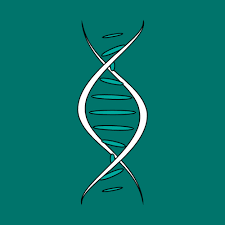 Dna Double Helix Rotating Animation Gif Dna Artwork Dna Art Dna Activities