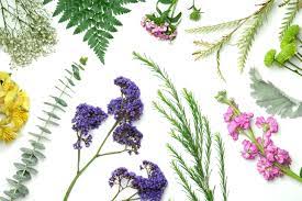 20% off all flower deliveries! 20 Types Of Greenery And Filler Flowers Ftd Com