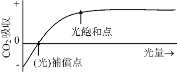 光合成
