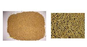 Maybe you would like to learn more about one of these? Jenis Jenis Enzim Dalam Industri Pakan Ternak Portal Agribisnis Indonesia