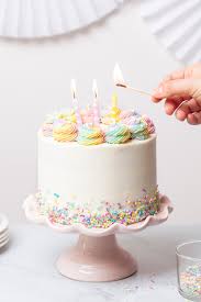 Different Style Birthday Cake Similar Foods Rainbow Sprinkle Cake Style Sweet In 2020 Rainbow Sprinkle Cakes Cake Sprinkles Birthday Cake