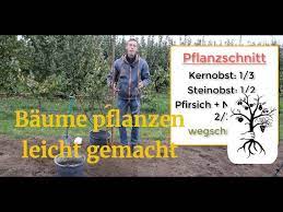Beerenobst liebt durchlässige, humusreiche und tiefgründige böden und einen sonnigen bis maximal halbschattigen platz im garten. Obstbaum Pflanzen Leicht Gemacht Baum Pflanzen Wie Ein Profi Youtube