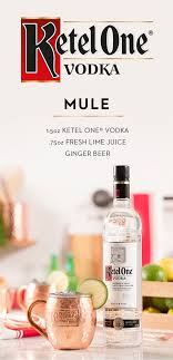 Ketel One Moscow Mule Recipe Ketel One Vodka Recipe Vodka Drinks Ginger Beer Drinks Alcohol Recipes