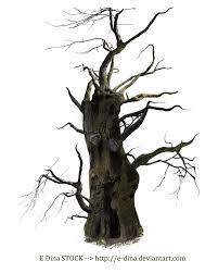 Hq Png Stock Spooky Tree Mann Spooky Trees Dark Tree Digital Art Supplies