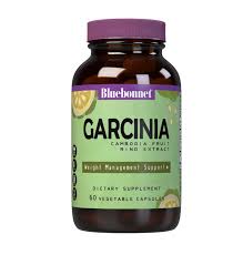 Image result for Garcinia punctata