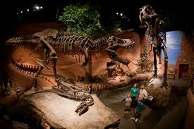 Dinosaur Museum Of Ancient Life At Thanksgiving Point Near Salt Lake City Utah Salt Lake City Utah Natural History Museum