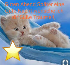 Guds Nachtle Gute Nacht Nacht Ausgestopftes Tier