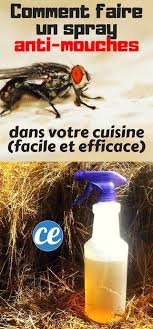 Comment Fabriquer Un Spray Anti Mouches Dans Votre Cuisine Facile Et Super Efficace Anti Mouche Comment Fabriquer Un Anti Mouche Maison