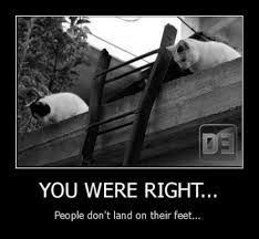 Falling Off Ladder Meme Google Search Cat People Space Cat Funny Animals