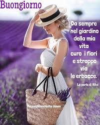 PaolettaPaly on Twitter: "@GiulianaGoline1 @ChiaraCiv @confusa11 @Susy_1968  @dicuonzobt @BiordiVanda @RIHANNON1967 ..Cura i fiori e strappa via  negativita'....sempre!! Buongiorno Giuly....tutto passa.... Buona domenica  carissima💜 https://t.co ...