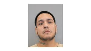 'Massive takedown': 25 charged with stealing luxury cars in auto theft  ring, police say