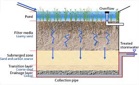 Draining excess rain protects your buildin. Raingardens Melbourne Water