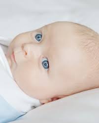 Kim Losee Photography (@kimloseephotography) • Instagram-foto's en -video's