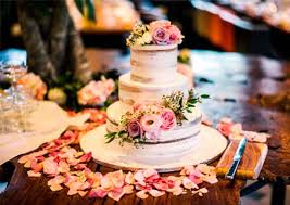 Pine Garden Cakes Prices Designs And Ordering Process Cakes Prices