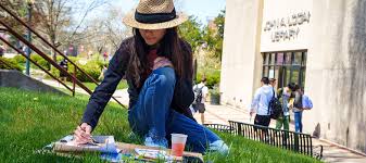 Humanities, Social Sciences, and the Arts