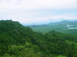 bosque en las montanas del norte de nicaragua water outdoor river