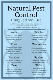 It is important that homeowners remain active participants before, during. Pin On Garden Tips
