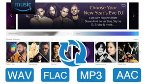 Site Officiel De Tunepat Amazon Music Converter Spotify Converter Netflix Video Downloader Livres Audio Amazon Musique Netflix