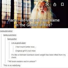 Did you know these fun facts and interesting bits of information? Enchanted Hp Lotr In 2021 Harry Potter Universal Harry Potter Obsession Harry Potter Funny