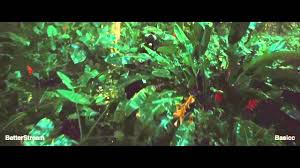 4,501,873 likes · 1,078 talking about this. The Hunger Games Catching Fire Full Length Commentary By Basicc With Intro Youtube