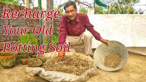 The nutrients that are present in the soil are what your plant will use to grow. How To Revitalize Your Old Potting Soil The Total Procedure Youtube