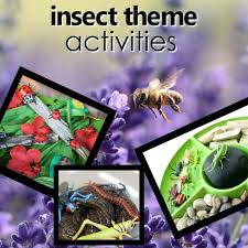 Our favorite alphabet activities for preschoolers. Insect Theme Preschool Activities Fantastic Fun Learning