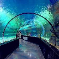 Acrylic Tunnel Aquariums Manufacturers Aquarium Amazing Aquariums Underwater