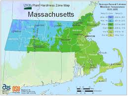 If you wait any later than that and your zucchini may not have a chance to grow to maturity. When Should I Plant Tomatoes In Zone 5 Cromalinsupport