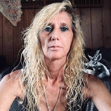 Lost cats in Chandlers Valley, Pennsylvania, need help finding