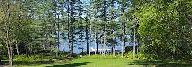 The comfort inn and suites hotel in wilton, me is ideally located near the university of maine, farmington, as well as franklin memorial hospital, verso paper corporation, catalyst paper and several ski areas. Wilton Maine Town Of Wilton Maine