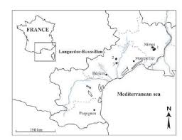 Would have liked was starting (to pull himself together/to enjoy life again) practice=>. Considerations On The Nature And Origin Of Wood Fuel From Gallo Roman Cremations In The Languedoc Region Southern France