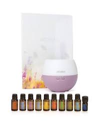 Steady draws on the unique benefits of essential oils such as amyris, balsam fir, coriander, and magnolia perfectly blended with fractioned coconut oil to deliver a calming effect. DÅterra Balance Essential Oil Grounding Blend Northcote Natural Therapies