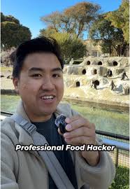 Exploring the San Francisco Zoo: A Hidden Gem