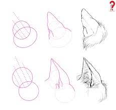 Maybe you would like to learn more about one of these? How To Draw Animal Ears Bunny Dog Wolf Cat Elephant Howtowiki
