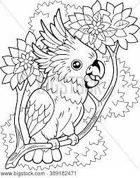 Dogs love to chew on bones, run and fetch balls, and find more time to play! Cute Cartoon Cockatoo Vector Photo Free Trial Bigstock