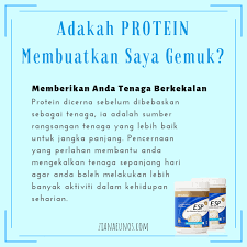 Bila tahu makanan terbaik kucing sebenarnya. Betul Ke Protein Boleh Gemukkan Badan Ziana Eunos
