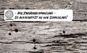 Holzwurm Bekampfen Was Bei Einem Holzwurmbefall Wirklich Hilft In 2020 Holzwurm Holzwurmer Bekampfen Holz