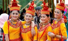 Ragam pakaian adat sulawesi selatan · 1. 6 Pakaian Adat Tradisional Sulawesi Selatan Celebes