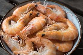 We did not find results for: Dalam Bahasa Inggris Udang Bisa Disebut Shrimp Maupun Prawn Apa Beda Keduanya Semua Halaman Bobo