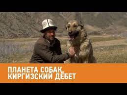 pin na doske novosti obo vsem